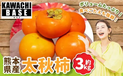 熊本県産 太秋柿 3kg 柿 かき カキ 贅沢 国産 果物 くだもの フルーツ 【2026年10月下旬発送開始】