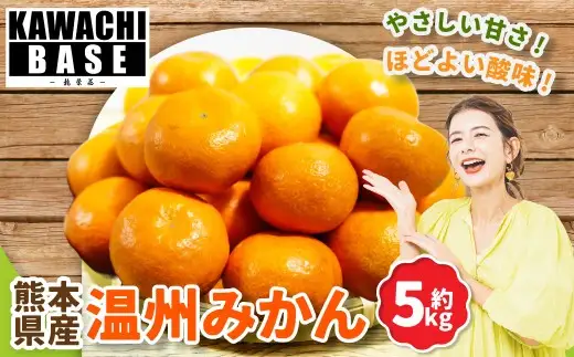 熊本県産 温州みかん 5kg みかん ミカン 柑橘類 柑橘系 甘さ 酸味 柑橘 国産 果物 くだもの フルーツ 【2026年11月上旬発送開始】