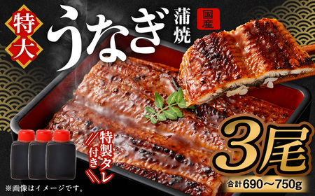 国産 うなぎ 蒲焼 3尾 （690g～750g）と 特製タレ 3個 セット 鰻 ウナギ 蒲焼き うなぎ蒲焼 セイロ蒸し せいろ蒸し タレ付 冷凍 父の日