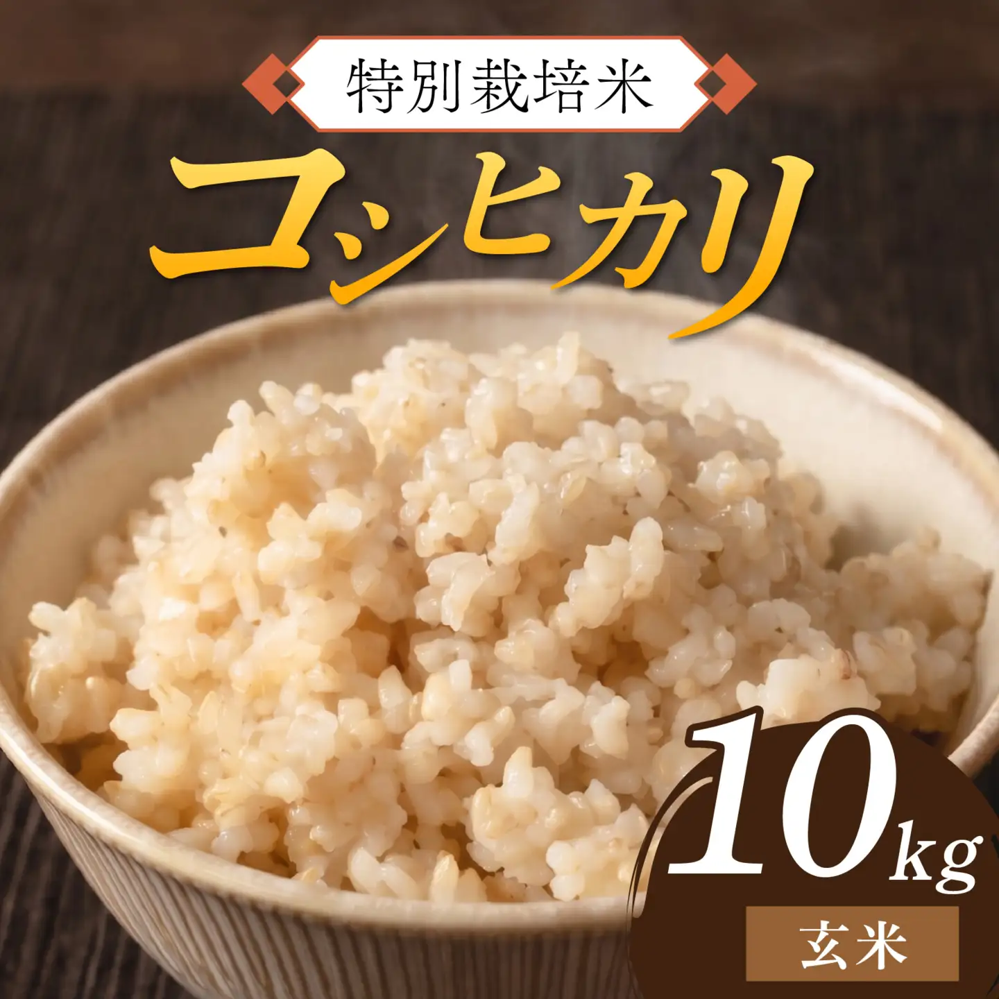 【 先行予約 】 令和8年産 特別栽培米 コシヒカリ 玄米 10kg 【2026年10月末より順次発送開始予定】米