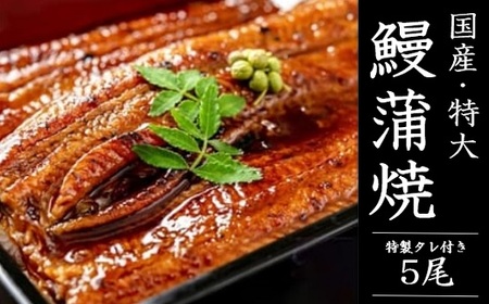 国産 うなぎ 蒲焼 5尾（1.15kg ～ 1.25kg）と 特製タレ 5個 セット 鰻 ウナギ 蒲焼き うなぎ蒲焼 セイロ蒸し せいろ蒸し タレ付 冷凍 父の日