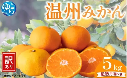 ＼選べる配送月／ （訳あり）温州みかん 5kg 【11月出荷 or 12月出荷】/ みかん ミカン 和歌山県 柑橘  甘い 蜜柑 フルーツ 果物 くだもの 食品  産地直送 由良町 ご家庭用 温州 温州ミカン 【kwgc003-cho】