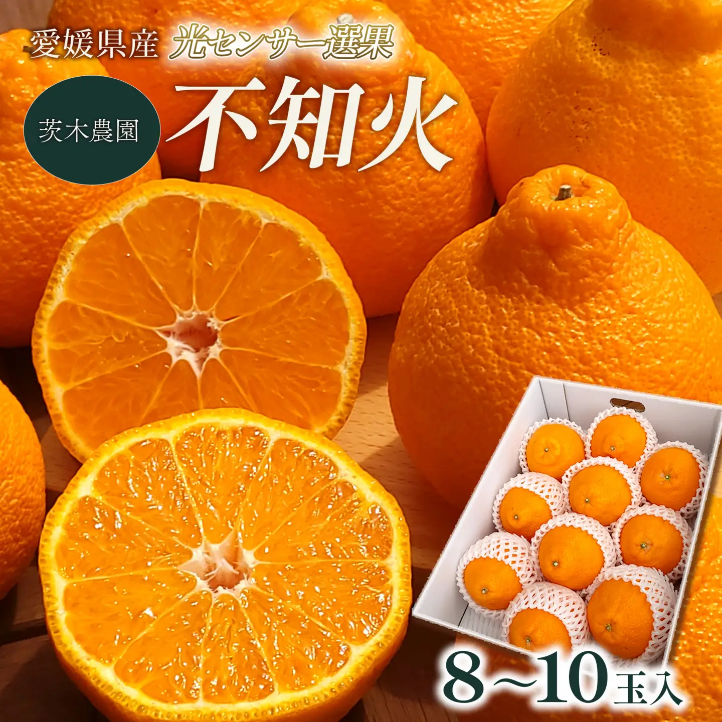 【でこぽんと同品種】 不知火 8～10玉入 デコポン 茨木農園