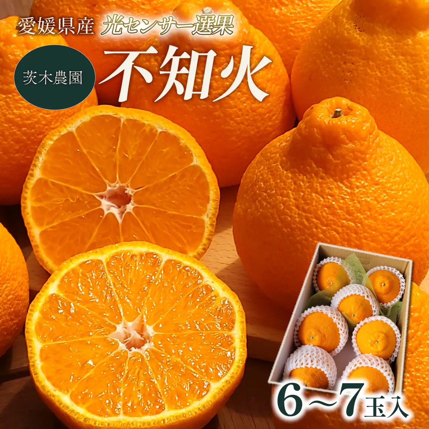 【でこぽんと同品種】 不知火 6～7玉入 デコポン 茨木農園