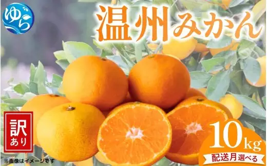 選べる配送月／ （訳あり）温州みかん 10kg 【11月出荷 or 12月出荷