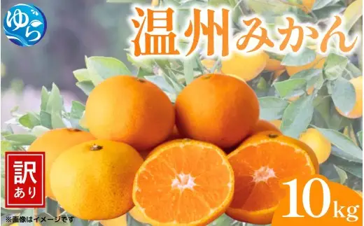 （訳あり）温州みかん 10kg / みかん ミカン 和歌山県 柑橘  甘い 蜜柑 フルーツ 果物 くだもの 食品  産地直送 由良町 ご家庭用 温州 温州ミカン ※11月中旬～11月下旬頃に順次発送予定【kwgc004-c-10-nov】