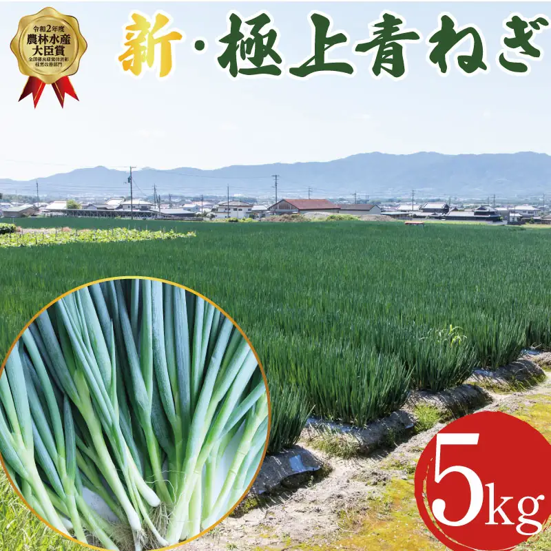 【12月~3月・7月のみ発送】 青ねぎ 5kg ネギ 葱 極上 薬味 国産