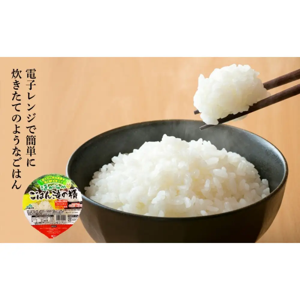 パックご飯【数量限定】JA金沢市 ほがらかごはん 20個入り 白米