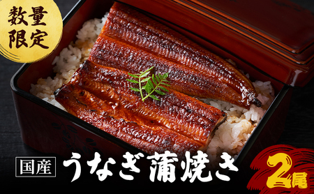 父の日 数量限定 国産うなぎ 蒲焼き 2尾 セット 詰め合わせ うなぎ 鰻 ウナギ 国産 うなぎの蒲焼き 鰻の蒲焼 老舗うなぎ専門店 徳右ェ門 魚介 魚介類 海鮮 限定 福井 福井県 若狭町