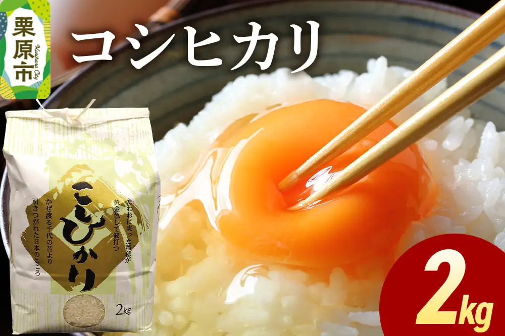 米 白米 令和7年産 コシヒカリ 2kg