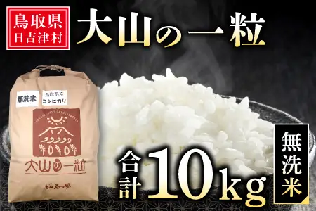 大山の一粒 無洗米 10kg【米 無洗米 10kg 10キロ こめ コメ むせんまい 先行予約 お米 白米 精米 こしひかり コシヒカリ 簡単 ごはん ライス kome 国産 お取り寄せ 鳥取県 大山町】