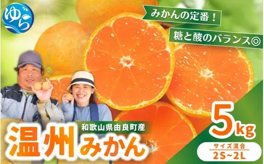 温州みかん 5kg 2S～2Lサイズ混合 12月発送  / 温州 ミカン 農家直送　完熟 密柑 くだもの  果実  柑橘 果物 フルーツ 和歌山県 由良町 人気 おすすめ 産地直送 ※2026年12月上旬頃～12月下旬頃に順次発送予定【nktn004-r-5-dec】