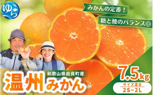 温州みかん 7.5kg 2S～2Lサイズ混合 11月発送 / 温州 ミカン 農家直送　完熟 密柑 くだもの  果実  柑橘 果物 フルーツ 和歌山県 由良町 人気 おすすめ 産地直送 ※2026年11月中旬頃～11月下旬頃に順次発送予定【nktn004-r-7d5-nov】