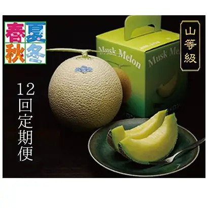 【12ヶ月定期便】クラウンメロン（山等級）1玉入 