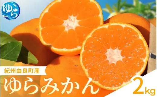  ゆらみかん 2kg / 温州みかん 和歌山県 柑橘 みかん 甘い 蜜柑 フルーツ 果物 くだもの 食品 人気   おすすめ 送料無料 産地直送 由良町 ※2026年11月下旬頃から12月上旬頃に順次発送予定【kzmn004-r-2】