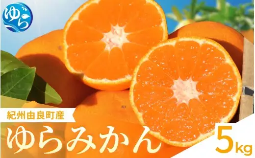 ゆらみかん  5kg / 温州みかん 和歌山県 柑橘 みかん 甘い 蜜柑 フルーツ 果物 くだもの 食品 人気   おすすめ 送料無料 産地直送 由良町 ※2026年11月下旬頃から12月上旬頃に順次発送予定【kzmn004-r-5】