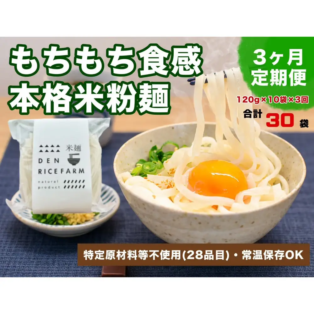 【定期便】【3ヶ月連続お届け】グルテンフリー 無添加 米麺 120g  10個セット（白米麺10個）｜米粉 うどん 焼きそば パスタ 麺