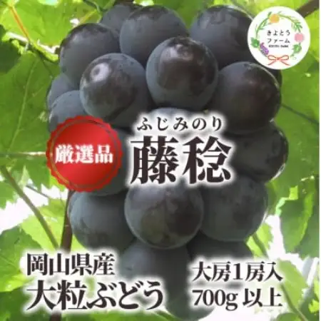 大粒葡萄の「藤稔」 大サイズ1房 厳選品 1房700g～ (岡山県産) ギフトにおすすめの人気葡萄!【配送不可地域：離島】【1721884】