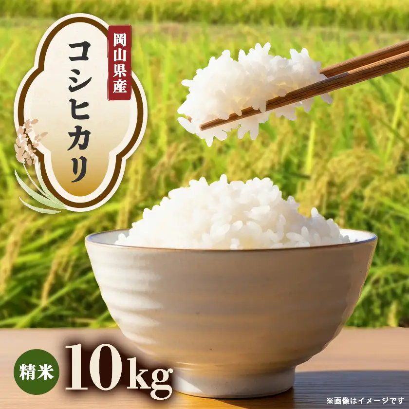 【先行受付】岡山県産『コシヒカリ』[10kg×1袋(10kg)]【1726901】