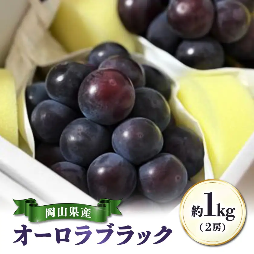 【先行受付|9月上旬頃より順次発送】岡山県産『オーロラブラック』　約1kg(2房)【配送不可地域：離島・北海道・沖縄県】【1726907】