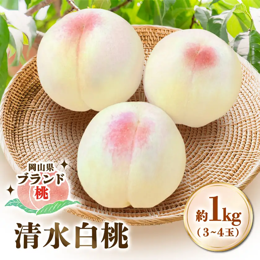 【先行受付|8月上旬頃より順次発送】岡山県ブランド『清水白桃』　約1kg(3~4玉)【配送不可地域：離島・北海道・沖縄県】【1726908】