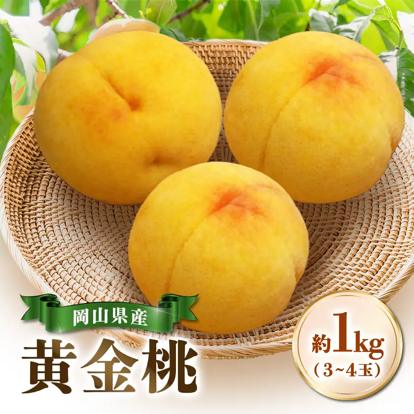【先行受付|8月下旬頃より順次発送】岡山県産『黄金桃』　約1kg(3～4玉)【配送不可地域：離島・北海道・沖縄県】【1726916】