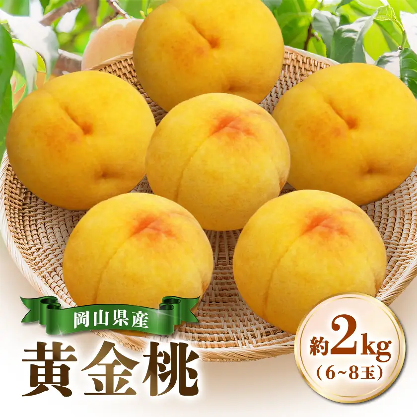 【先行受付|8月下旬頃より順次発送】岡山県産『黄金桃』　約2kg(6~8玉)【配送不可地域：離島・北海道・沖縄県】【1726917】