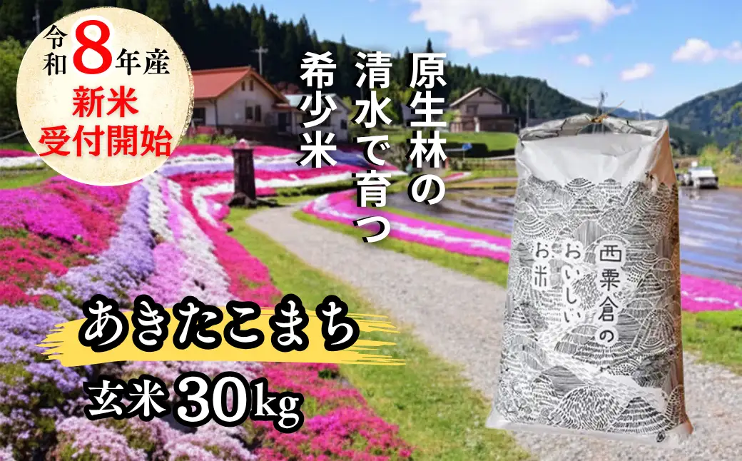 《先行予約 2026年10月発送》玄米 30kg 令和8年産 あきたこまち 岡山 「おおがや 芝桜米」 G-bd-AFZA