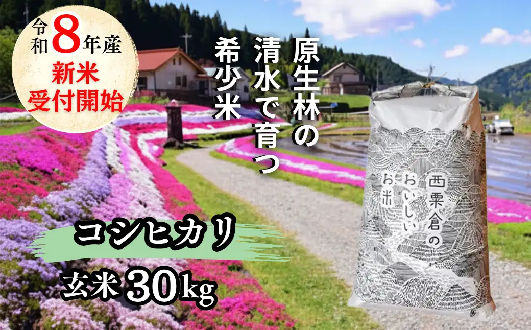 《先行予約 2026年10月発送》玄米 30kg 令和8年産 コシヒカリ 岡山 「おおがや 芝桜米」 G-ad-AFZA