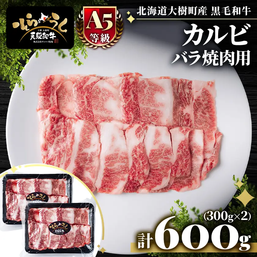 「天駆和牛(そらうし)」カルビ バラ焼肉用 600g(300g×2) 十勝大樹町産 A5 黒毛和牛【配送不可地域：離島】【1731651】