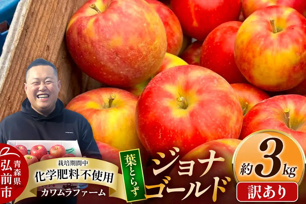 【26年10月発送】りんご 葉とらず ジョナゴールド【訳あり】約3kg カワムラファーム 青森県 弘前市