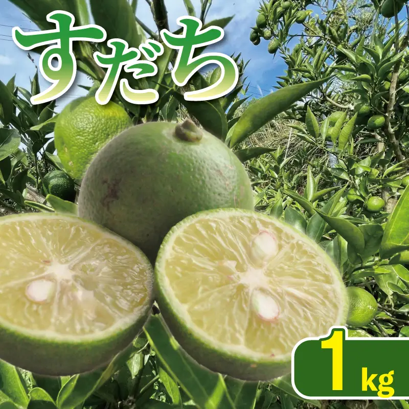 すだち 1kg 徳島県産すだち 2026年8月上旬～発送予定