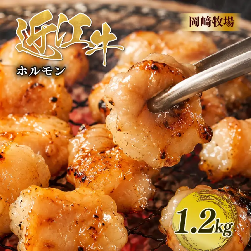 近江牛 ホルモン 1.2kg 完熟近江牛 200g×6パック