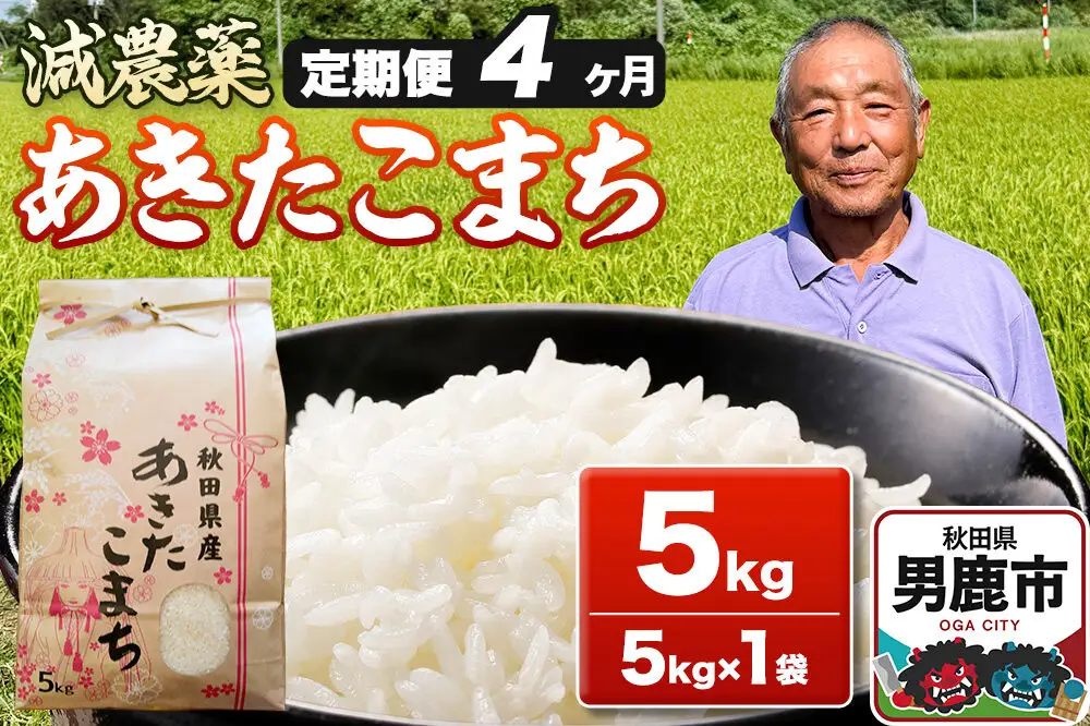 あきたこまち 5kg（5kg×1袋） 令和7年産 【定期便4ヶ月】 お米 米 秋田県男鹿市