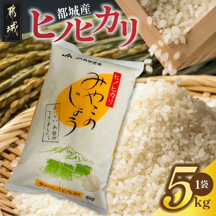 都城産ヒノヒカリ5kg×1袋〔17-01-002-5kg〕_(都城市) 白米 ひのひかり 弁当 おにぎり