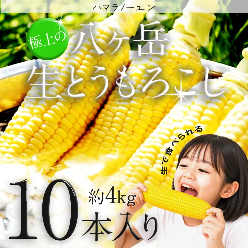 生で食べられる極上の 八ヶ岳 生 とうもろこし 10本入り【2026年7月中旬～発送】
