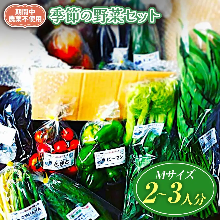 【栽培期間中農薬不使用・無化学肥料・無家畜性肥料で育てた】 季節の 野菜セット ( Mサイズ )【2026年8月上旬～発送】