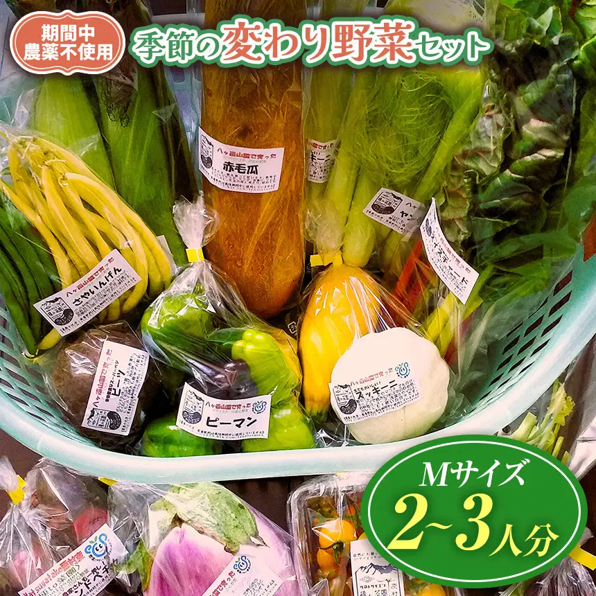 【栽培期間中農薬不使用・無化学肥料・無家畜性肥料で育てた】 季節の 変わり野菜セット ( Mサイズ )【2026年7月下旬～発送】