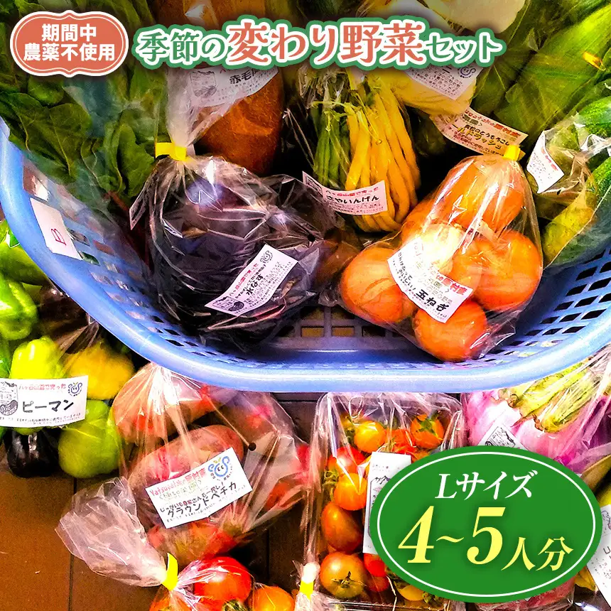 【栽培期間中農薬不使用・無化学肥料・無家畜性肥料で育てた】 季節の 変わり野菜セット ( Lサイズ )【2026年7月下旬～発送】