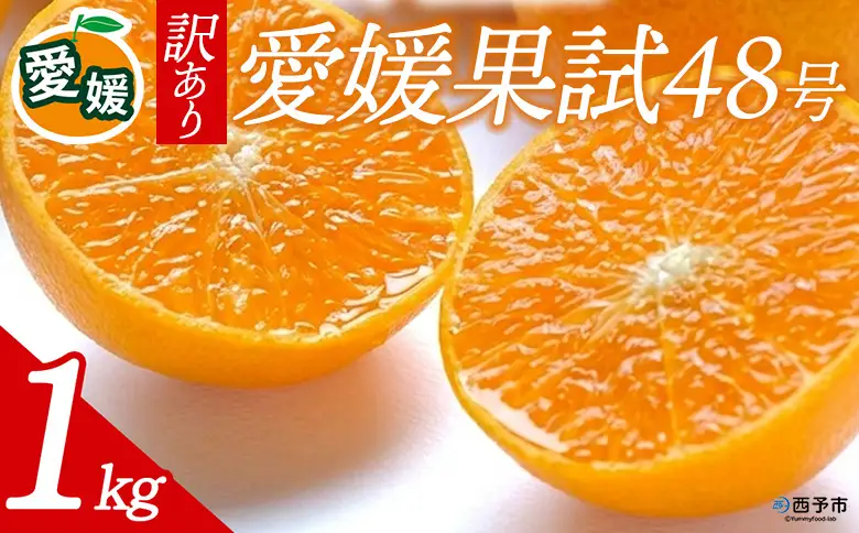 先行予約＜訳あり 愛媛県産 愛媛果試48号 合計約1kg＞ 『2027年3月以降順次出荷予定』紅プリンセス ご家庭用 ご自宅用 高級柑橘 希少 お試し 果物 柑橘 フルーツ 高級 国産 濃厚 果汁 産地直送 特産品 ミヤモトオレンジガーデン 愛媛県 西予市【常温】ONM0016