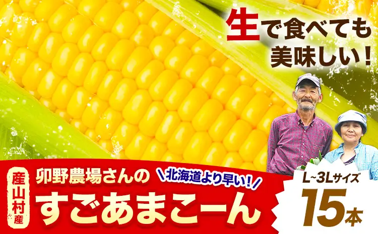 とうもろこし 15本 とうもろこし【着日指定不可】