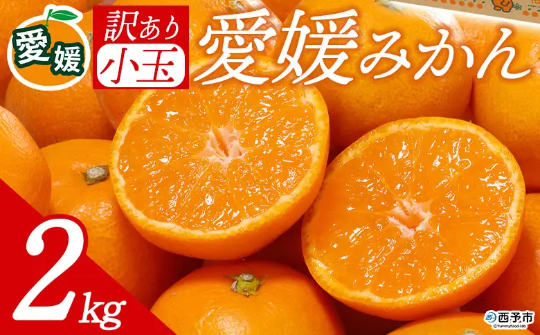 先行予約＜訳あり 愛媛県産 小玉みかん 合計約2kg＞ 『2026年11月以降順次出荷予定』 甘さ凝縮 フレッシュ ご家庭用 ご自宅 蜜柑 果肉 お試し 果物 柑橘 フルーツ オレンジ 国産 濃厚 果汁 産地直送 ミヤモトオレンジガーデン 愛媛県 西予市【常温】ONM0017
