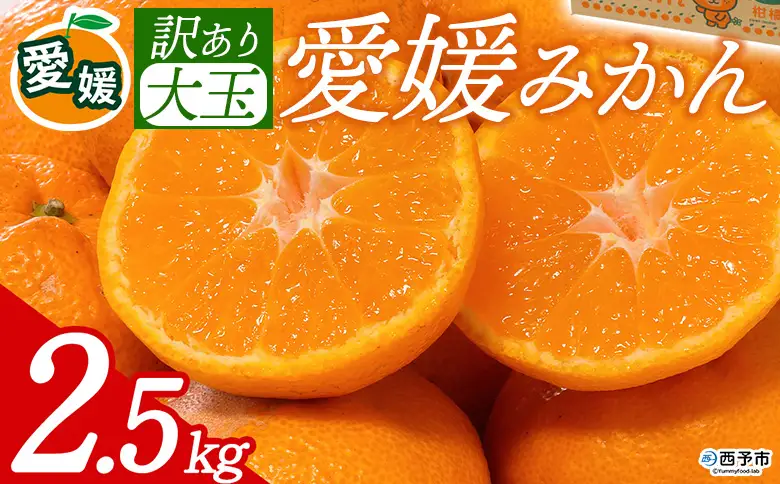 先行予約＜訳あり 大玉 愛媛みかん 合計約2.5kg＞ 『2026年11月以降順次出荷予定』温州 みかん フレッシュ ご家庭用 ご自宅 蜜柑 愛媛県産 果肉 お試し 果物 柑橘 フルーツ オレンジ 国産 産地直送 ミヤモトオレンジガーデン 愛媛県 西予市【常温】ONM0018