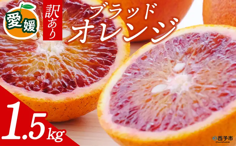 先行予約＜訳あり 愛媛県産 ブラッドオレンジ 合計約1.5kg＞ 『2027年2月以降順次出荷予定』タロッコ 希少 赤い みかん ご家庭用 ご自宅 蜜柑 果肉 果物 柑橘 フルーツ オレンジ 国産 濃厚 産地直送 ミヤモトオレンジガーデン 愛媛県 西予市【常温】ONM0009