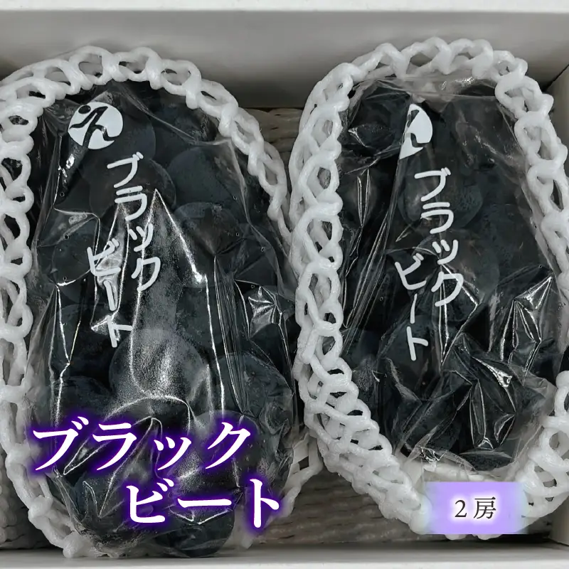 【2026年8月下旬頃から順次発送】 ブラックビート 2房 約900g 秀品 | ぶどう 葡萄 フルーツ 果物 産地直送  期間限定 くだもの ぶどう 葡萄 ブドウ おすすめ 人気 旬 フルーツ 愛媛県 松山市【FA114】