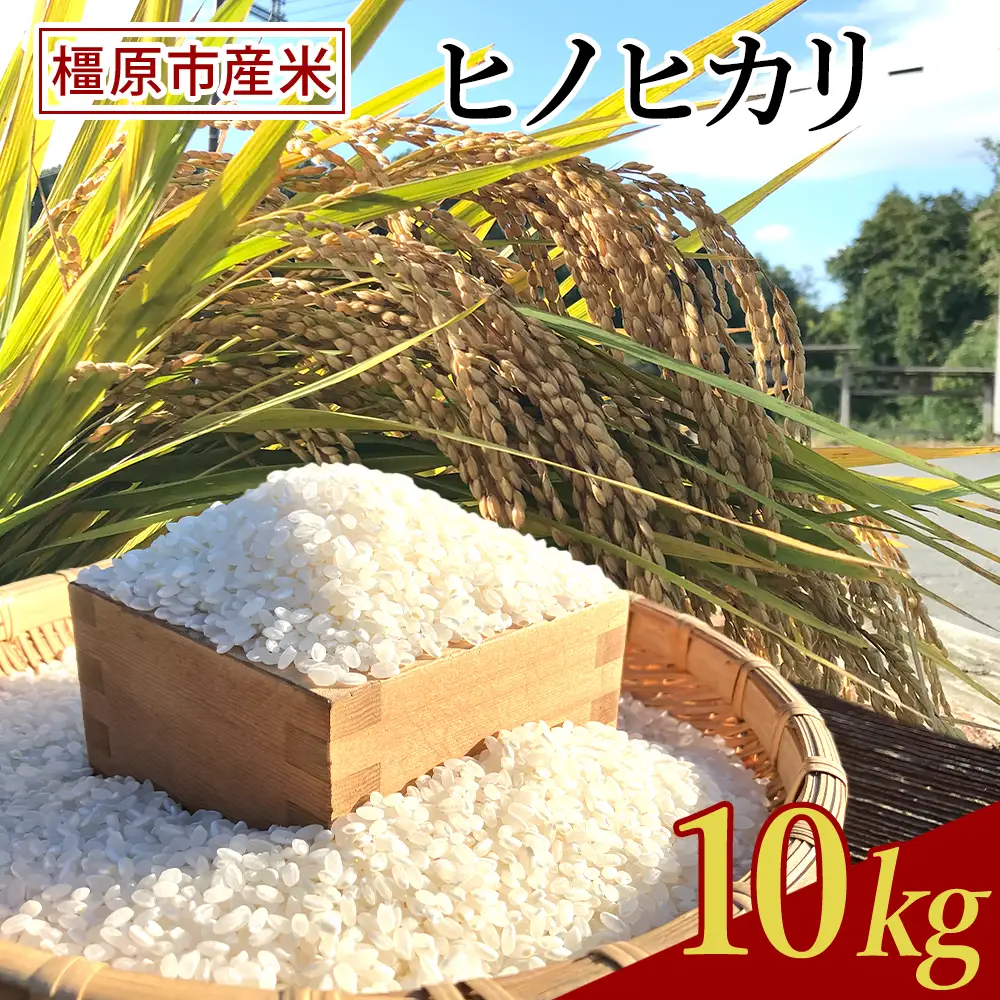 令和7年度橿原市産米 ヒノヒカリ 10㎏