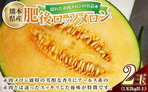 隠れた赤肉メロンの名品 ☆ 肥後ロッソメロン ロッソメロン メロン 国産 熊本県産 果物 くだもの フルーツ 果実 赤肉 ロッソ 【2026年6月下旬発送開始】