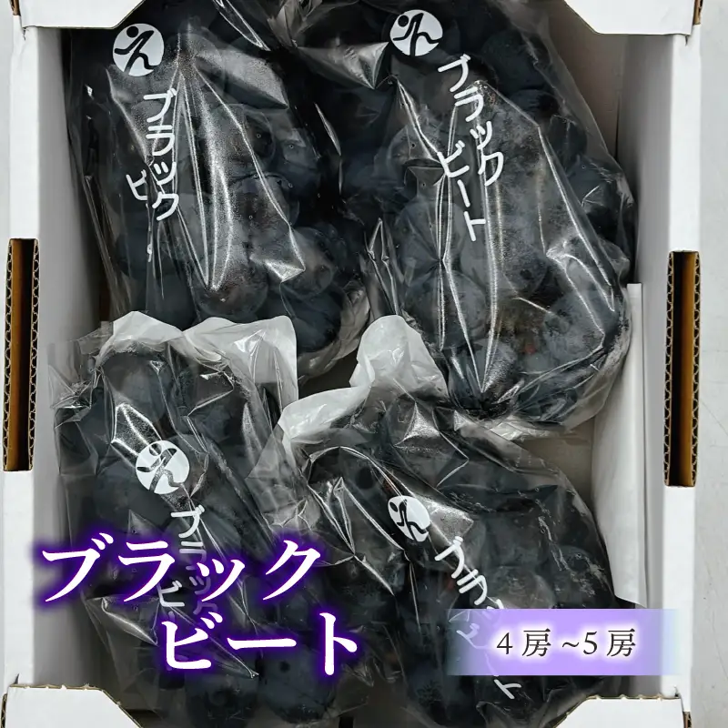 【2026年8月下旬頃から順次発送】 ブラックビート 4～5房 約1.8 kg 秀品 | ぶどう 葡萄 フルーツ 果物 産地直送  期間限定 くだもの ぶどう 葡萄 ブドウ おすすめ 人気 旬 フルーツ 愛媛県 松山市【FA115】