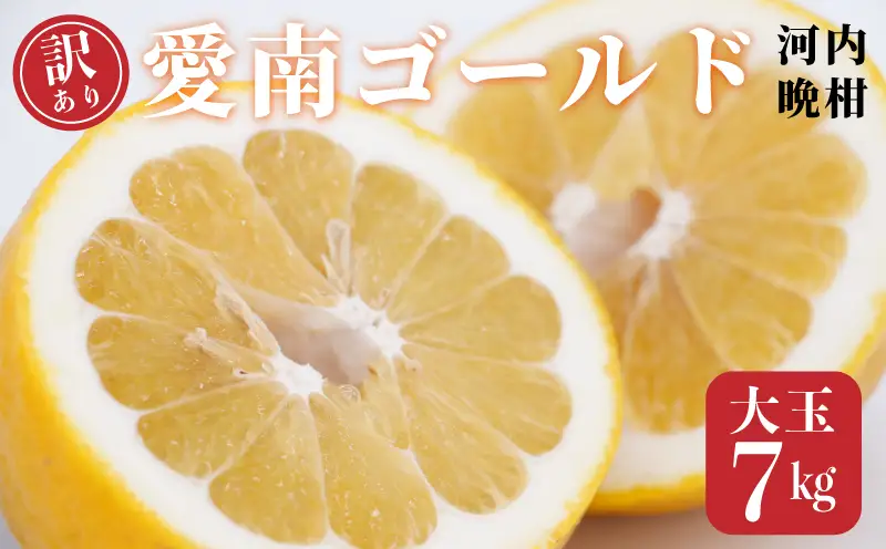 訳あり 愛南ゴールド 河内晩柑 大玉 7kg