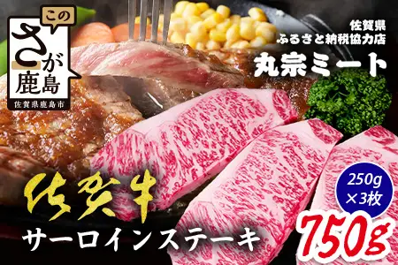 佐賀牛 サーロインステーキ 250g×3枚 計750g ブランド牛 ステーキ 精肉 D-298